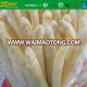 Frozen IQF white asparagus spears