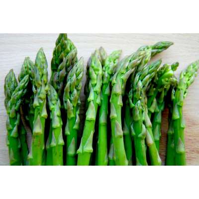 Fresh Frozen Asparagus Best Quality from Thailand